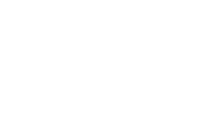 VTL Rakić